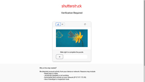Shutterstock - API Solutions for Businesses