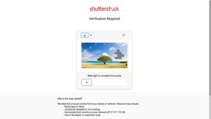 Shutterstock - API Solutions
