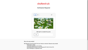 Shutterstock - Black Women Stock Photos