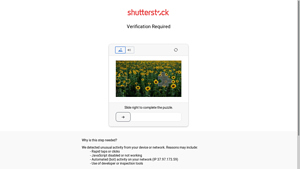 Shutterstock - Rubber Dildo Stock Images