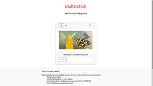 Shutterstock - API Solutions