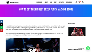 Sidekick Boxing - Ultimate X Gloves