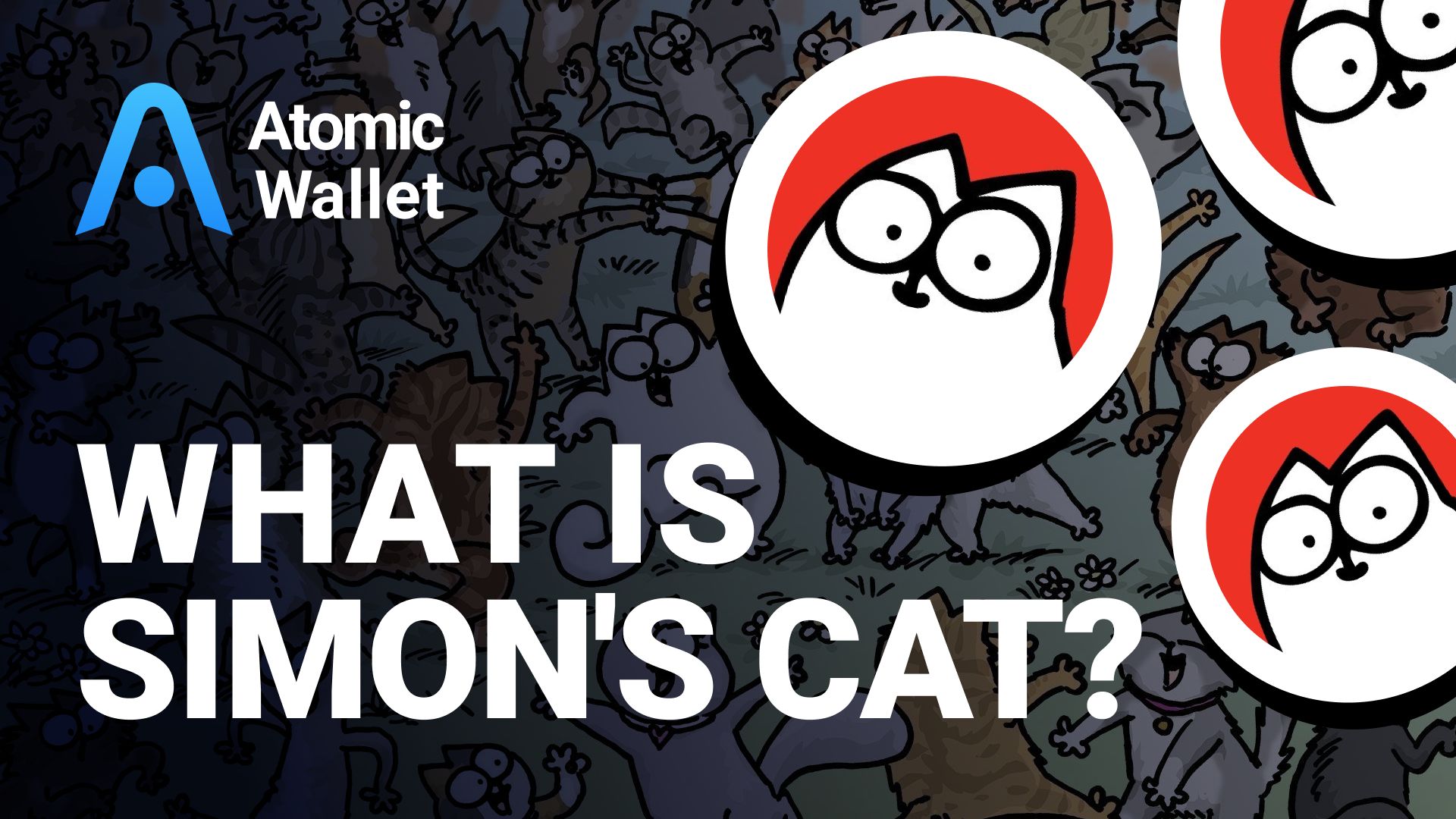 Featured image for simon's cat coin - What is Simon's Cat?