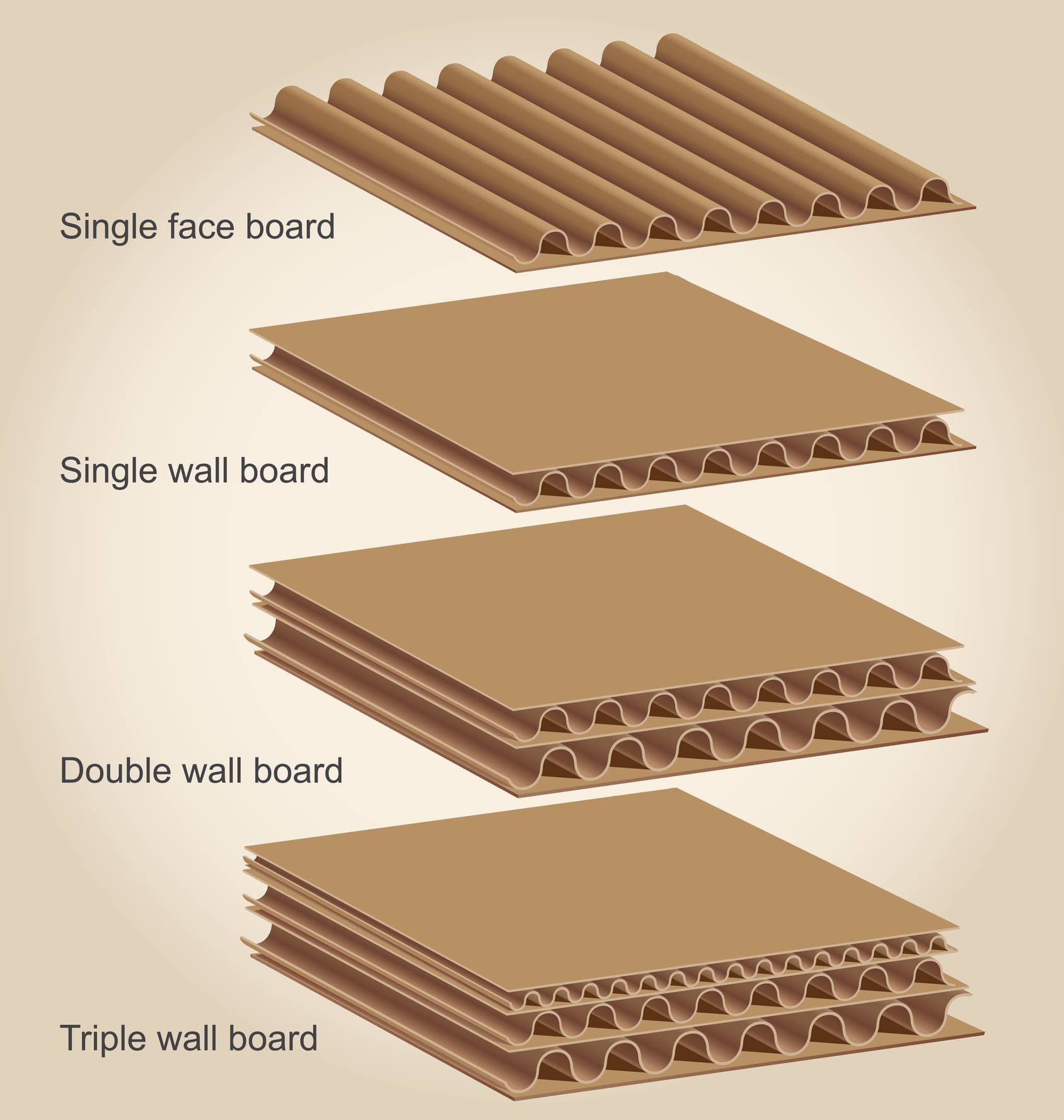 Featured image for the single wall corrugated board guide