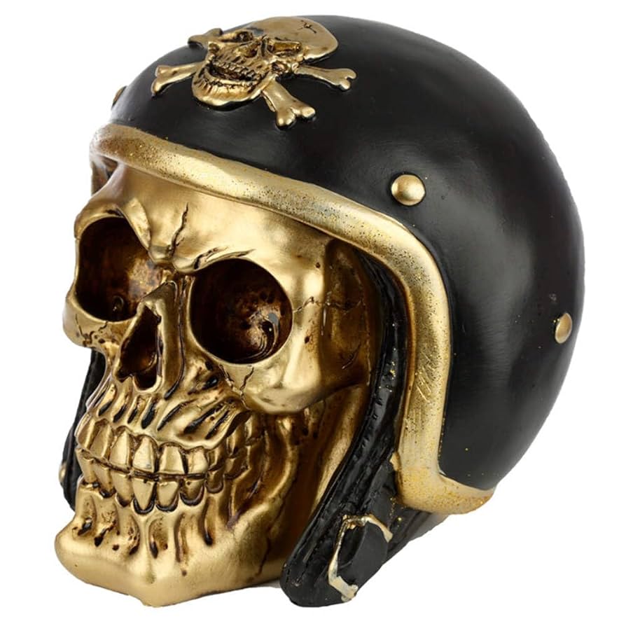 An application scenario or product detail of skull moto helmet - Image 19