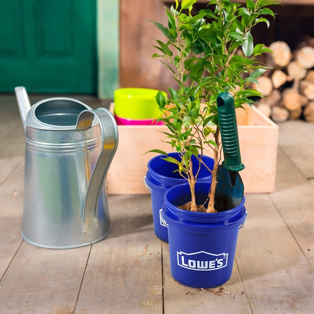 An application scenario or product detail of small bucket - Image 13