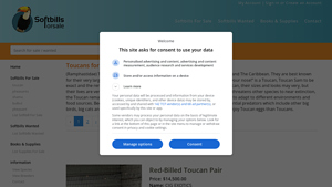 Soft Bills - Toucans for Sale
