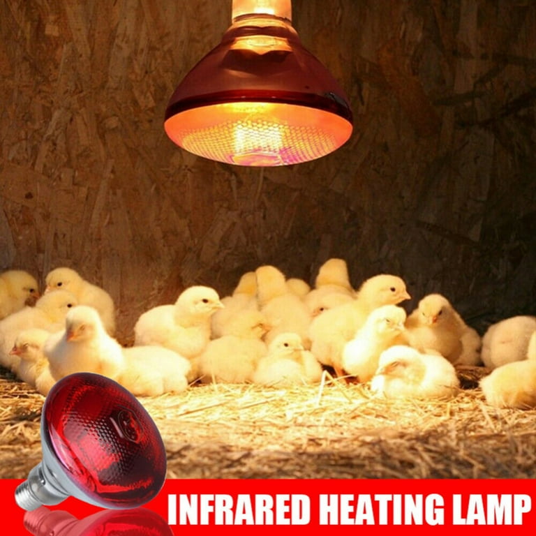 An application scenario or product detail of solar heat lamp - Image 23
