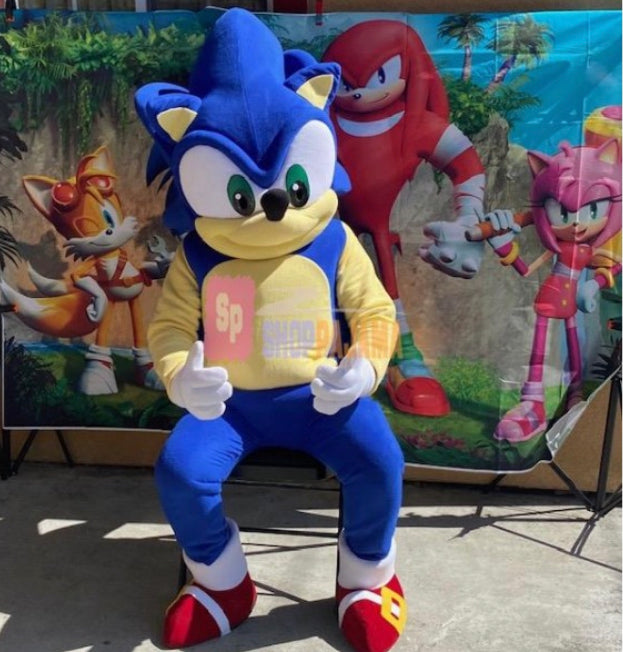 An application scenario or product detail of sonic mascot - Image 6