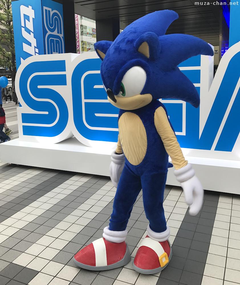 An application scenario or product detail of sonic mascot - Image 12