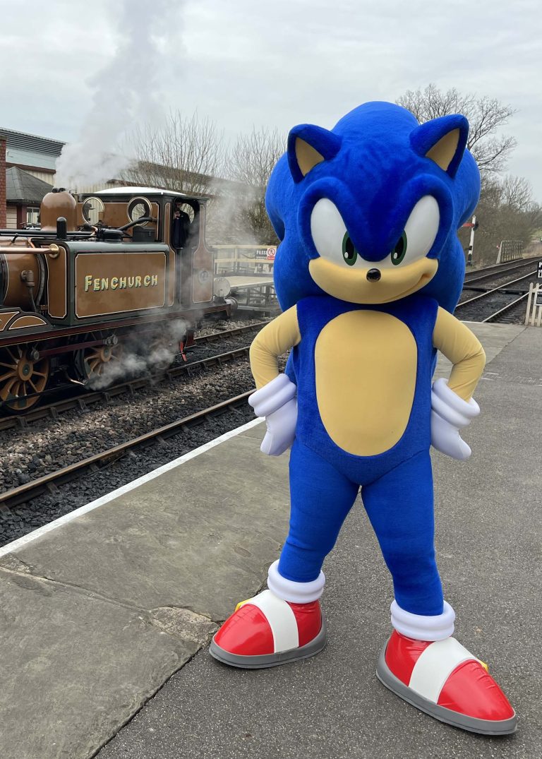 An application scenario or product detail of sonic mascot - Image 16