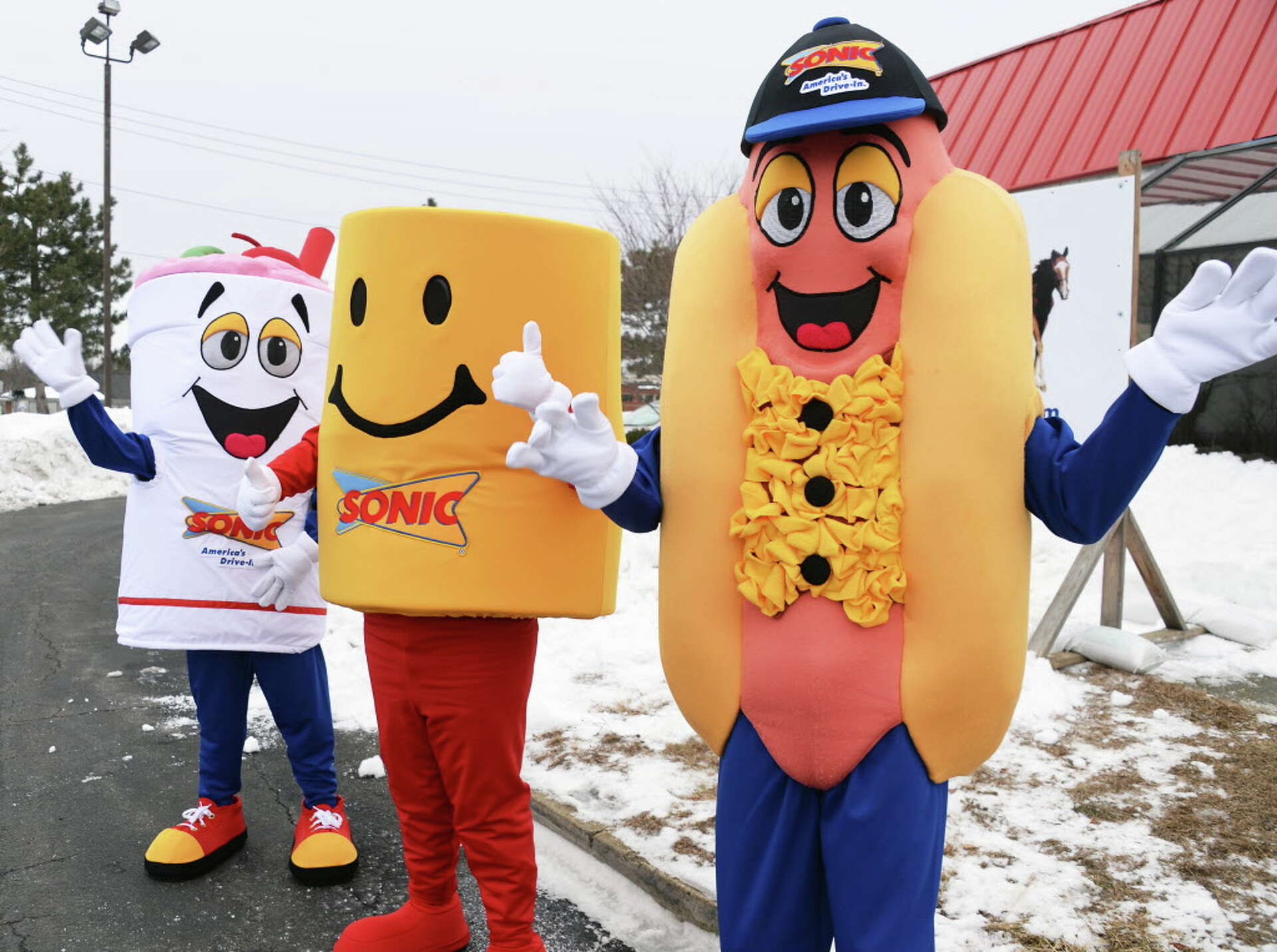 An application scenario or product detail of sonic mascot - Image 21