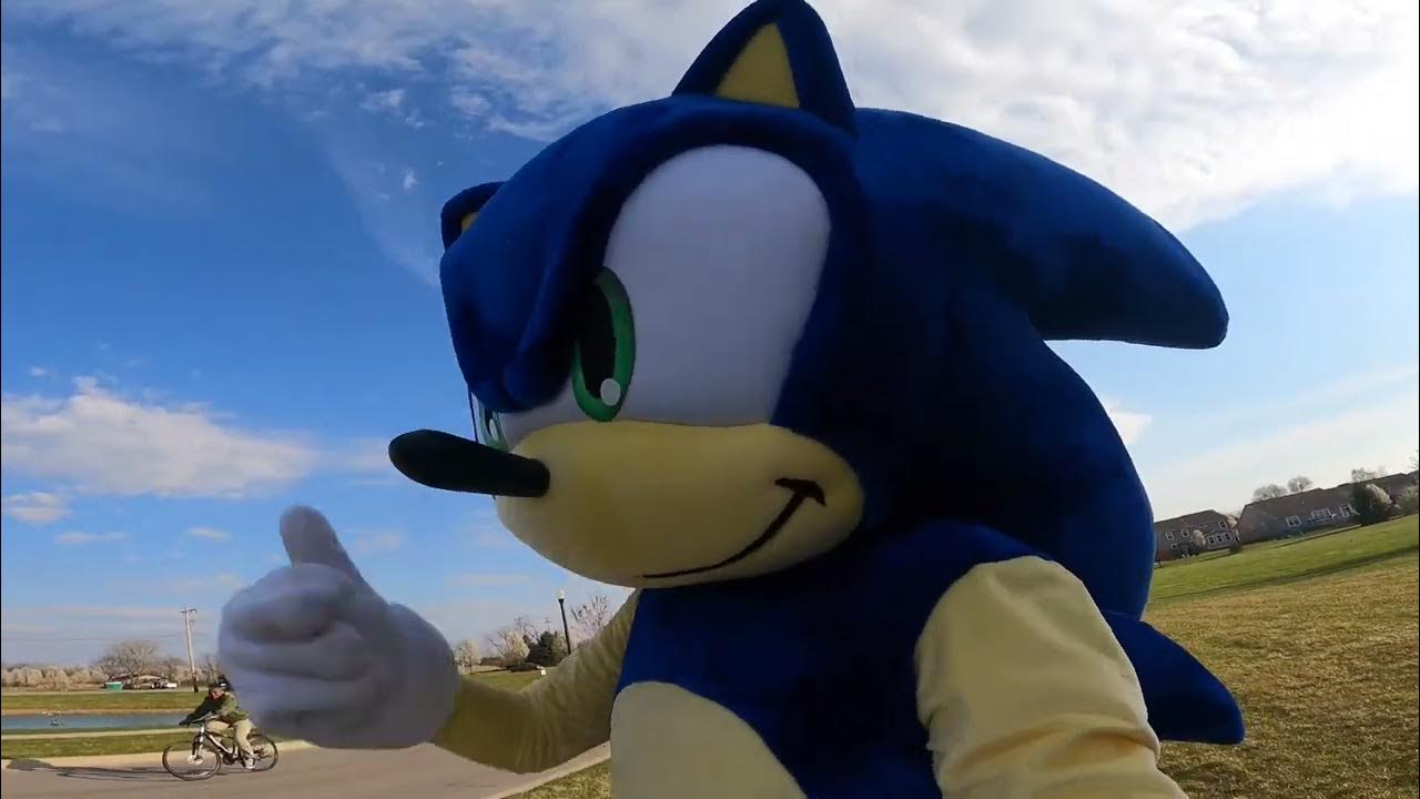 An application scenario or product detail of sonic mascot - Image 22
