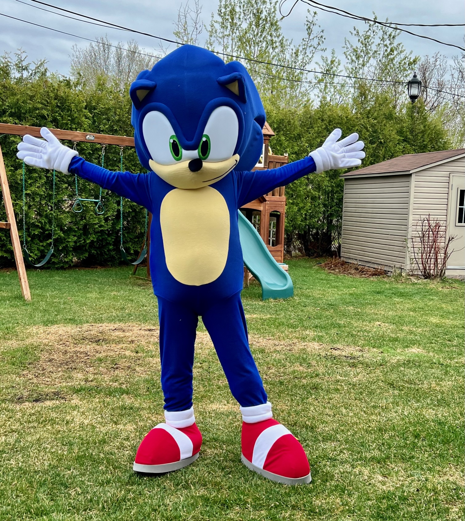 An application scenario or product detail of sonic mascot - Image 23