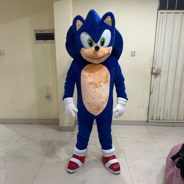 Featured image for the sonic mascot guide