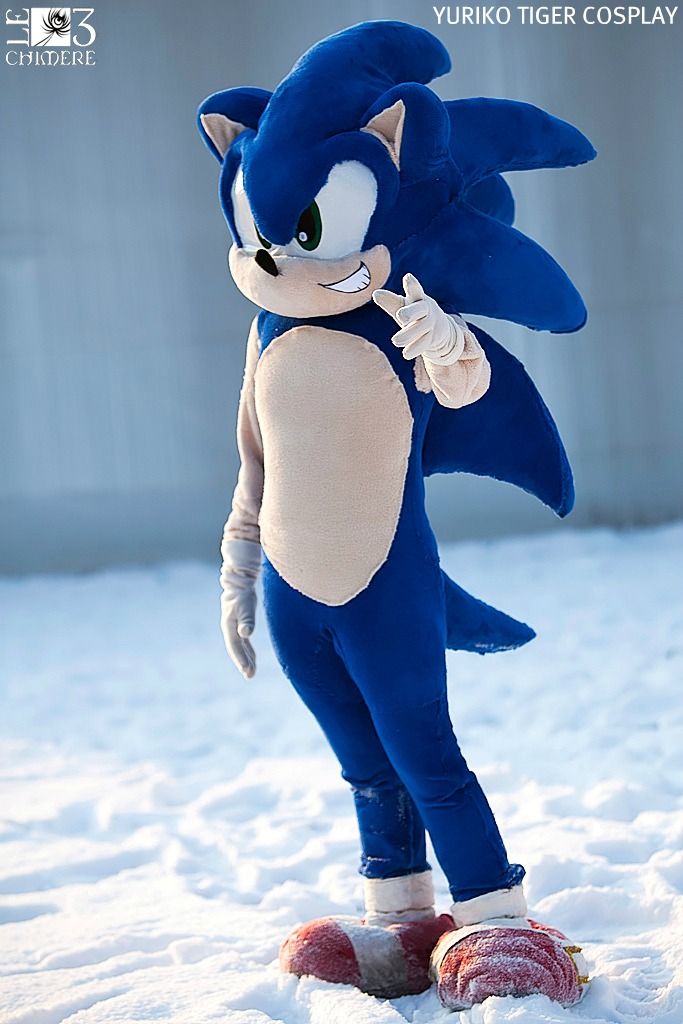 An application scenario or product detail of sonic the hedgehog cosplay - Image 14