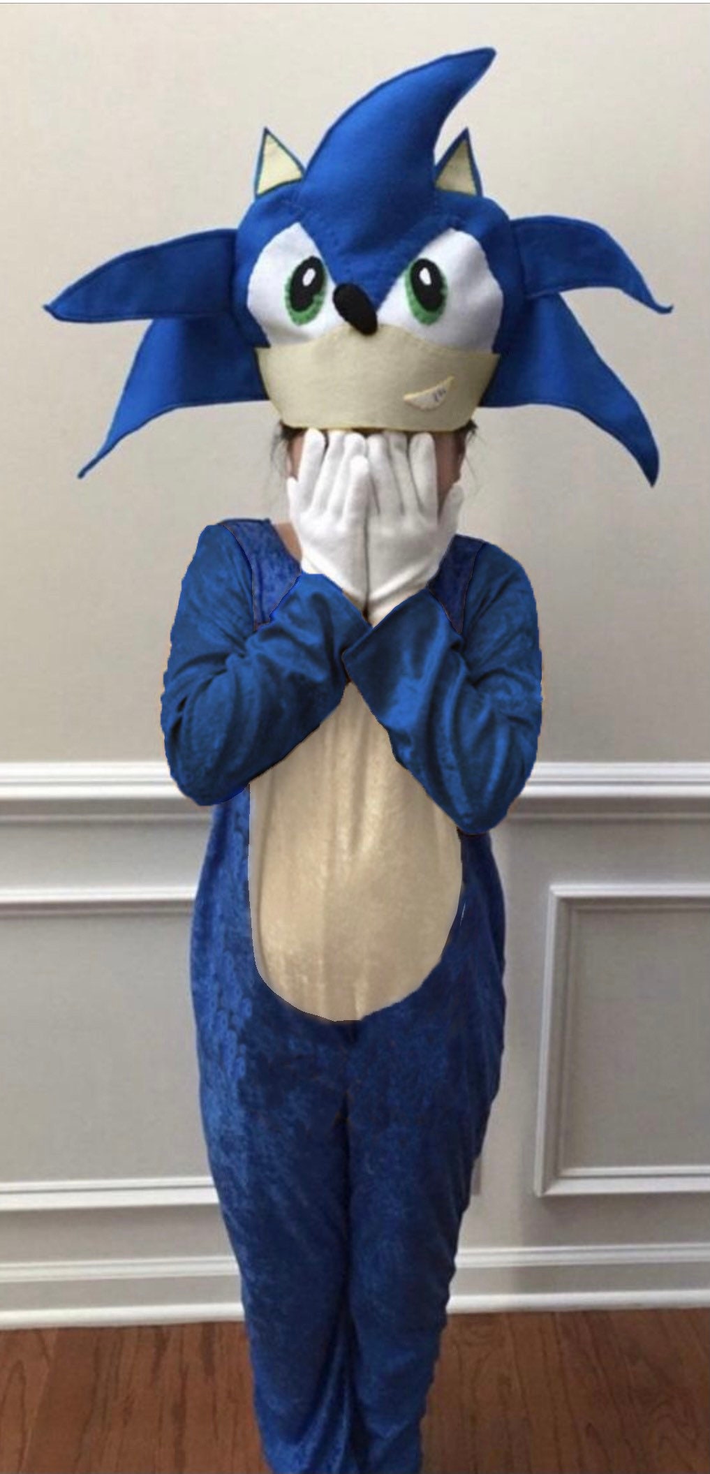 An application scenario or product detail of sonic the hedgehog cosplay - Image 19