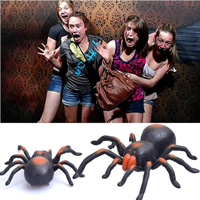 An application scenario or product detail of spider toy - Image 7