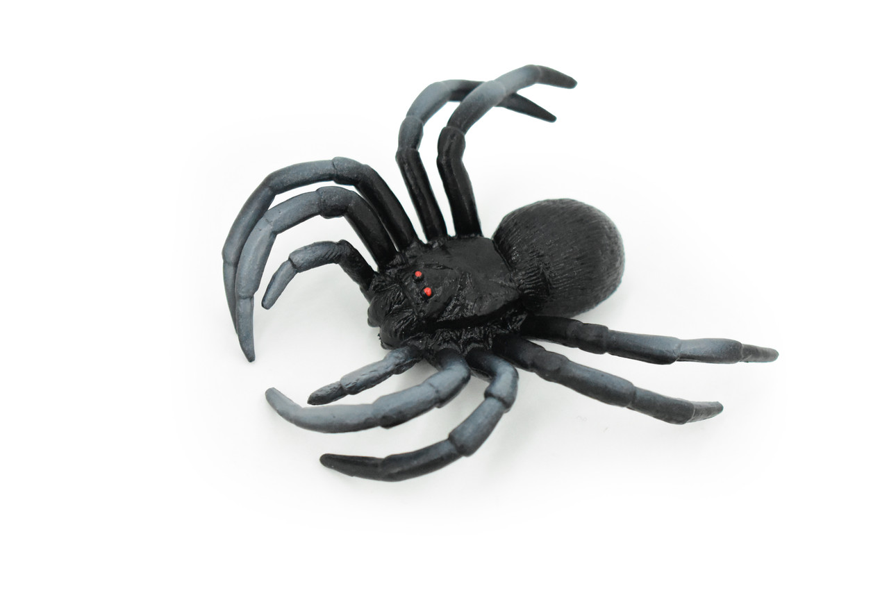 An application scenario or product detail of spider toy - Image 18
