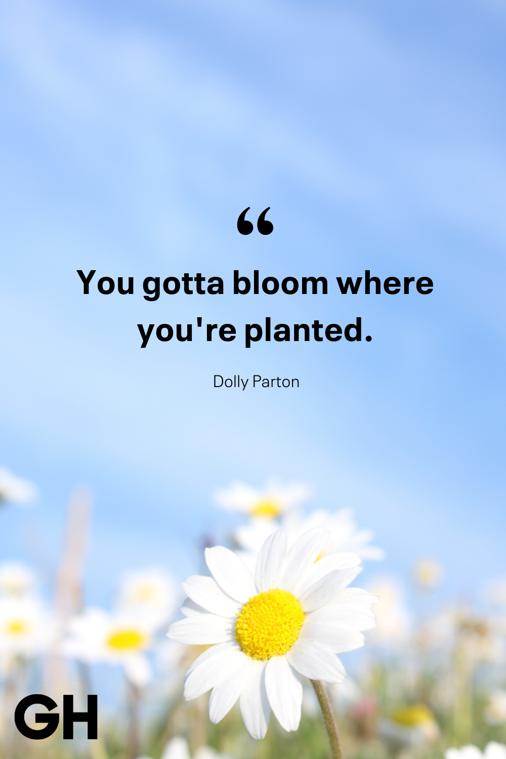 An application scenario or product detail of spring quotations funny - Image 12