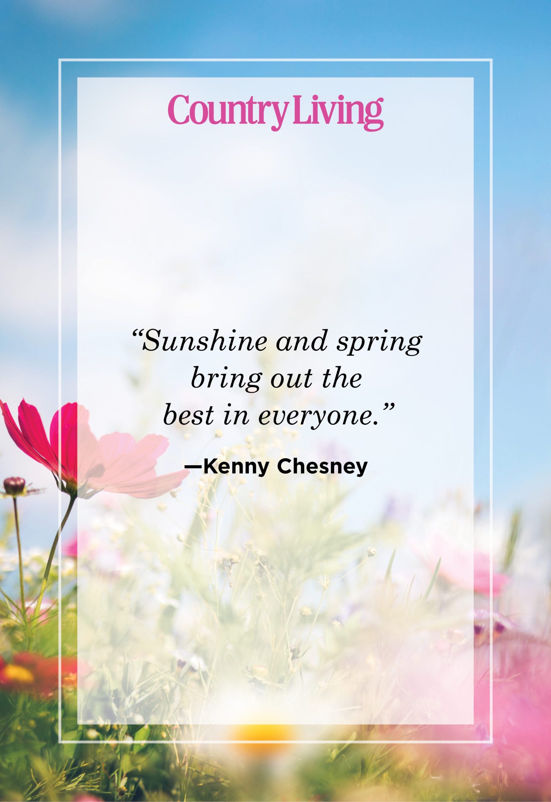 An application scenario or product detail of spring quotations funny - Image 16