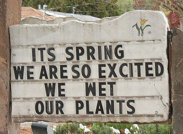 An application scenario or product detail of spring quotations funny - Image 17