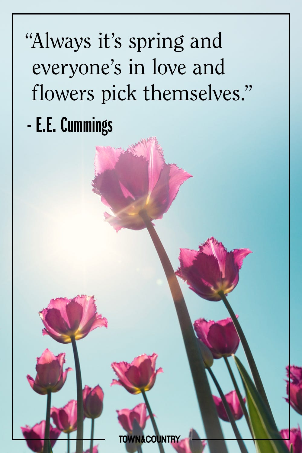 An application scenario or product detail of spring quotations funny - Image 19
