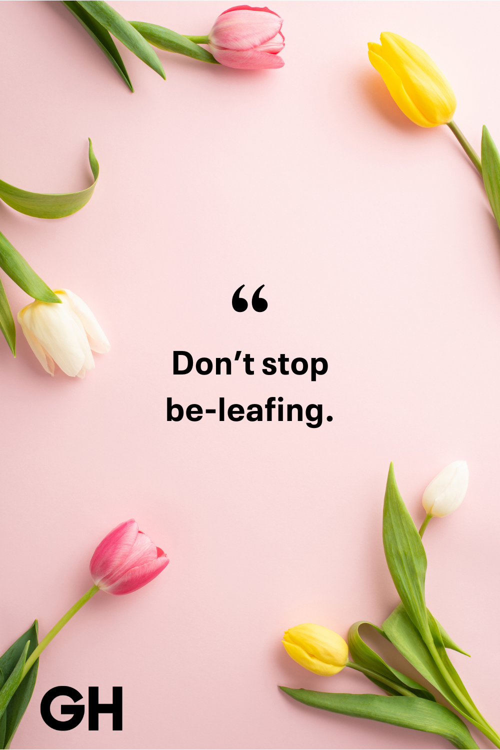 Featured image for the spring quotations funny guide