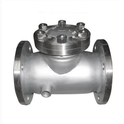 An application scenario or product detail of steam check valve - Image 8