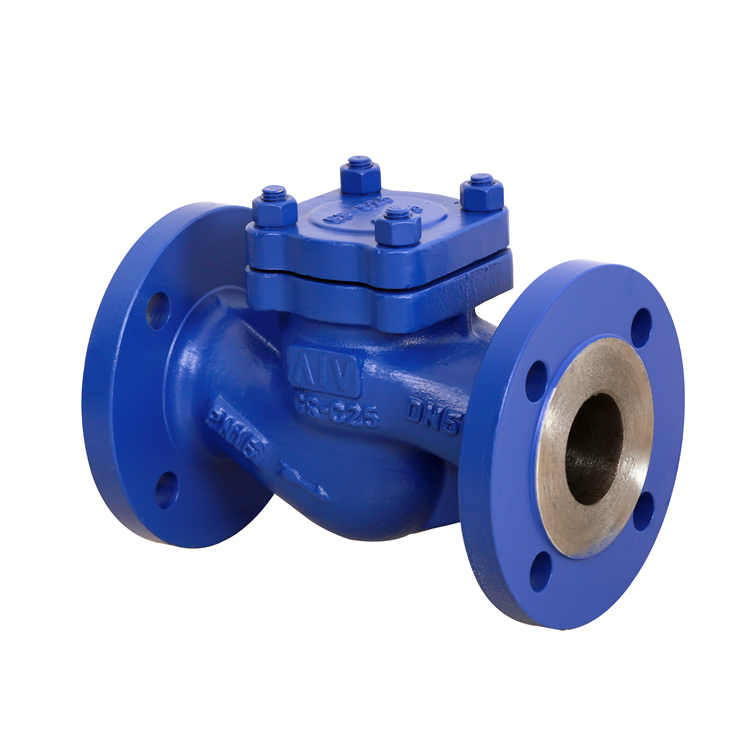 Featured image for the steam check valve guide