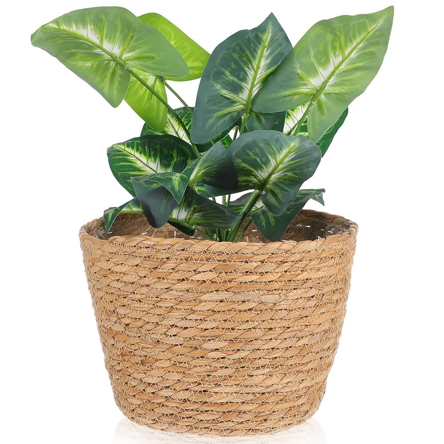 An application scenario or product detail of straw plant pots - Image 9