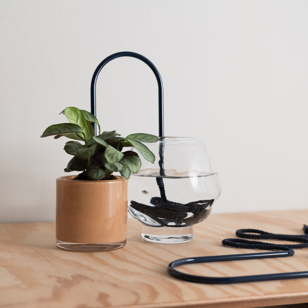 An application scenario or product detail of straw plant pots - Image 12