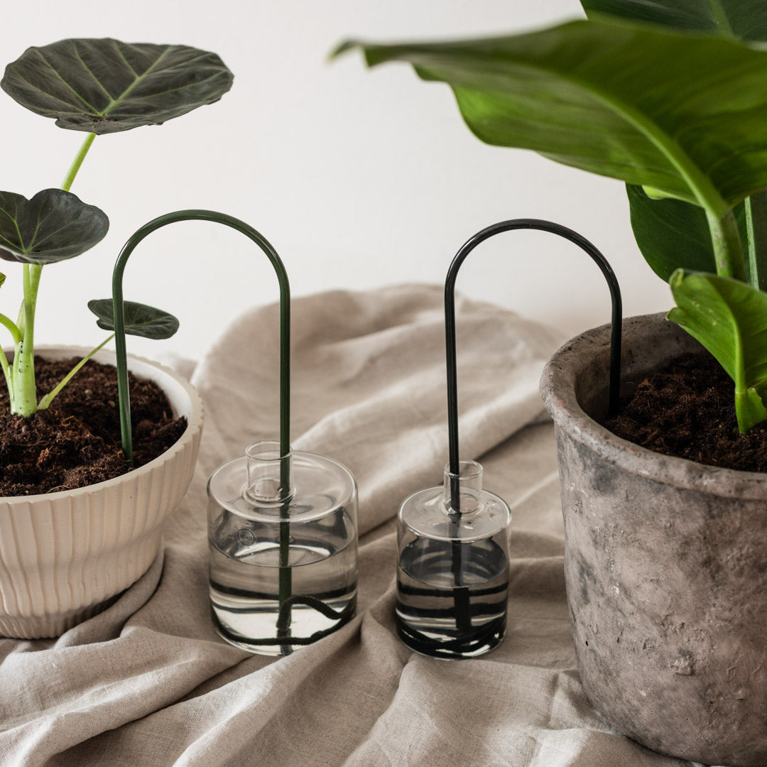 An application scenario or product detail of straw plant pots - Image 15