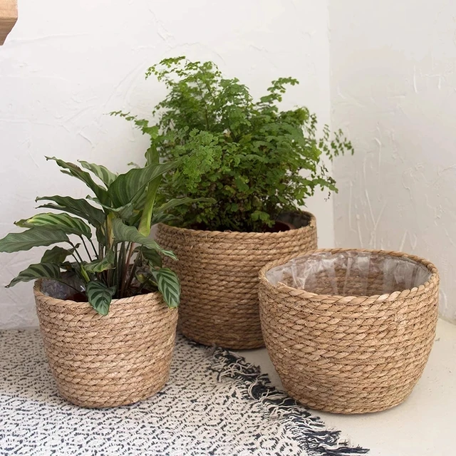 An application scenario or product detail of straw plant pots - Image 17