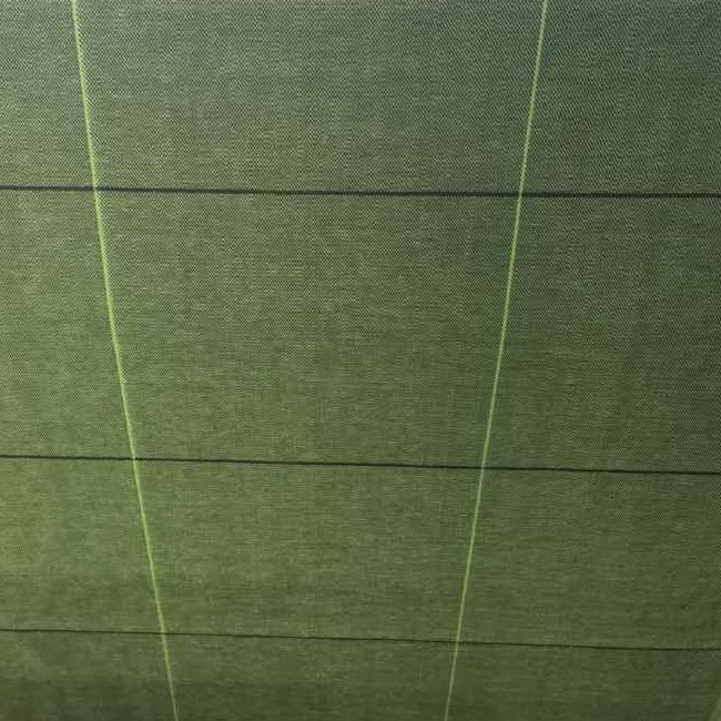 An application scenario or product detail of sulzer landscape fabric - Image 11
