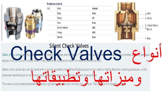 An application scenario or product detail of swing vs spring check valve - Image 14