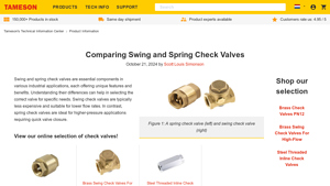 Tameson - Swing Check Valve