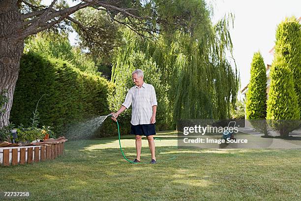 An application scenario or product detail of the hose man - Image 16