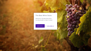 The Best Wine Store - Mini Champagne Selection