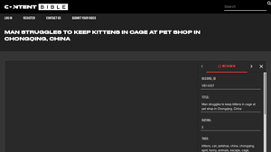 The Content Bible - Kittens in a Cage