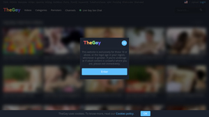 TheGay - Gay Boy Tube Videos