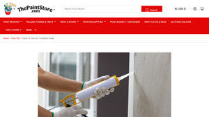 The Paint Store - Silicone Caulk