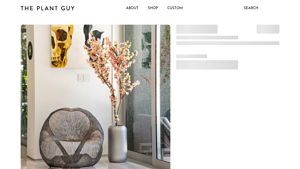 The Plant Guy - Cherry Blossom Tree + Planter