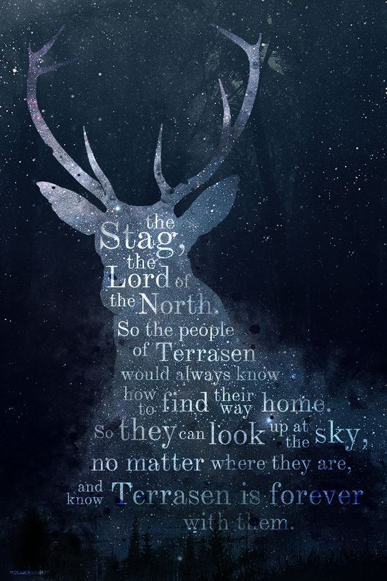 An application scenario or product detail of throne of glass quotes - Image 8