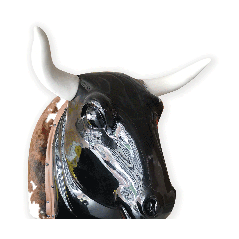 An application scenario or product detail of toro mecanico - Image 14