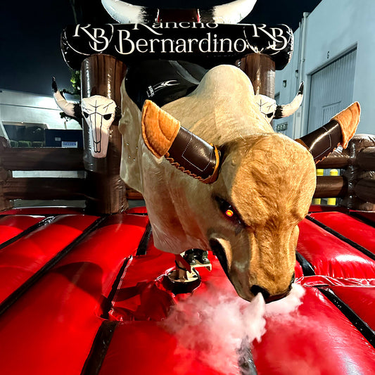 Featured image for the toro mecanico guide
