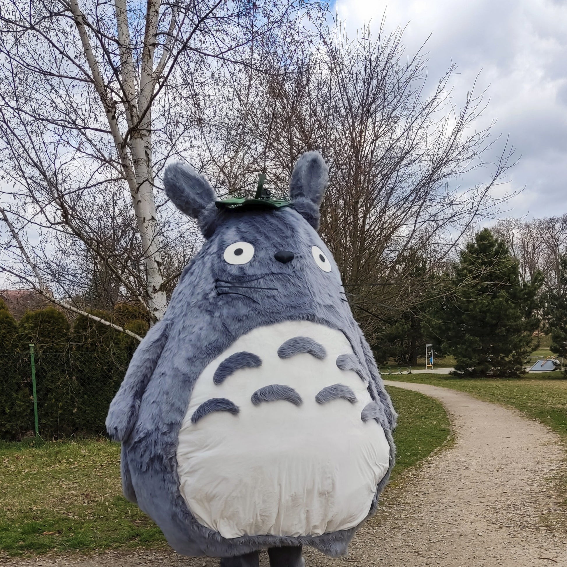 An application scenario or product detail of totoro costume - Image 5