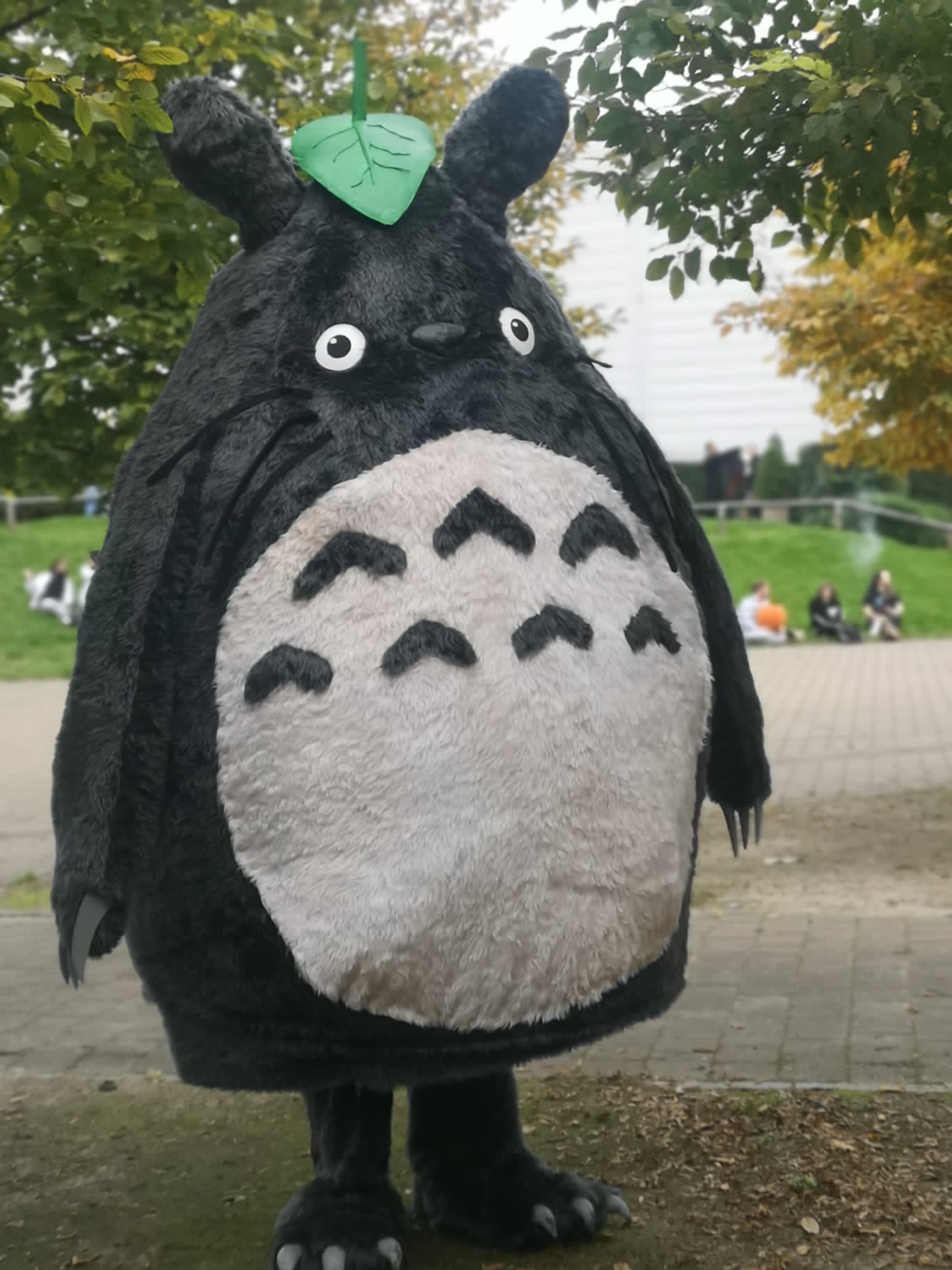 An application scenario or product detail of totoro costume - Image 7