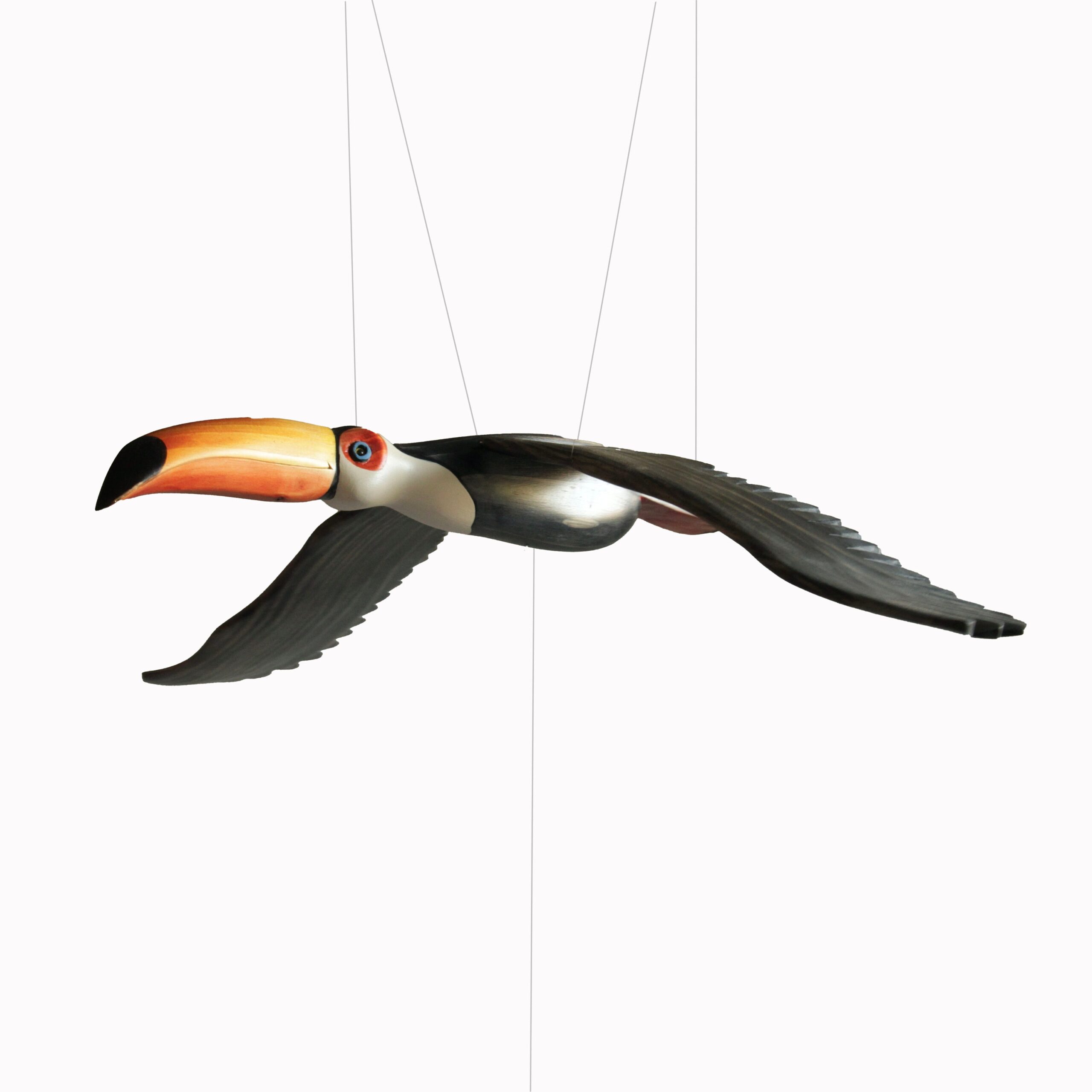 An application scenario or product detail of toucan bird for sale - Image 15