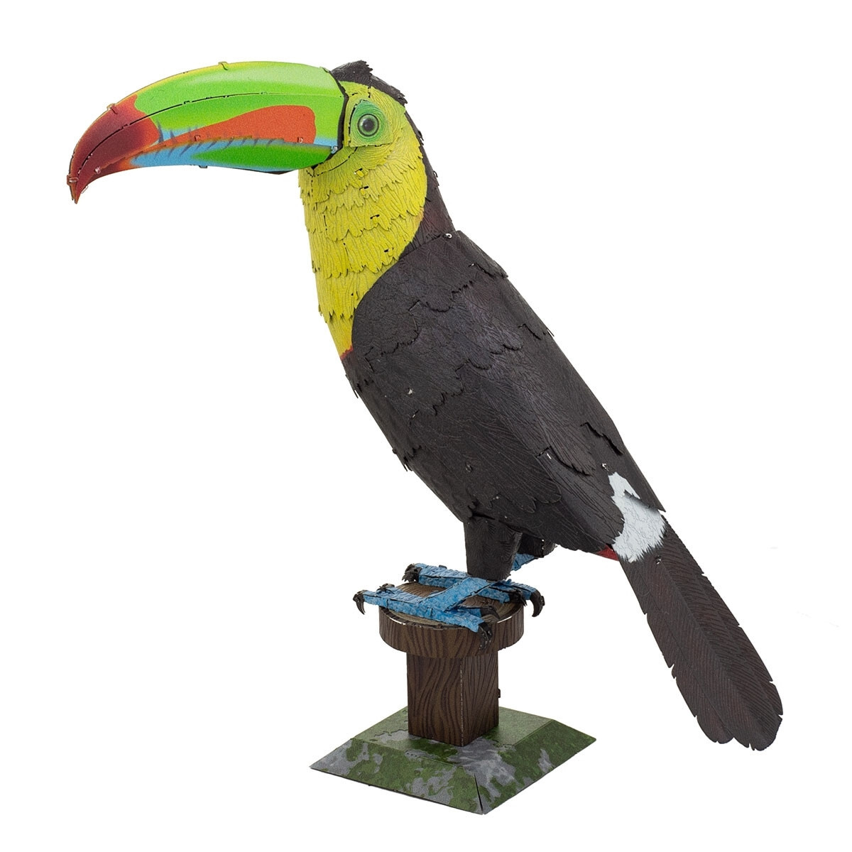 An application scenario or product detail of toucan bird for sale - Image 17
